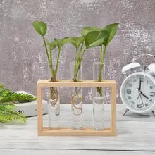 Wooden Plant Test Tube Rack